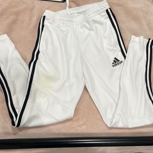 Adidas Training Pant